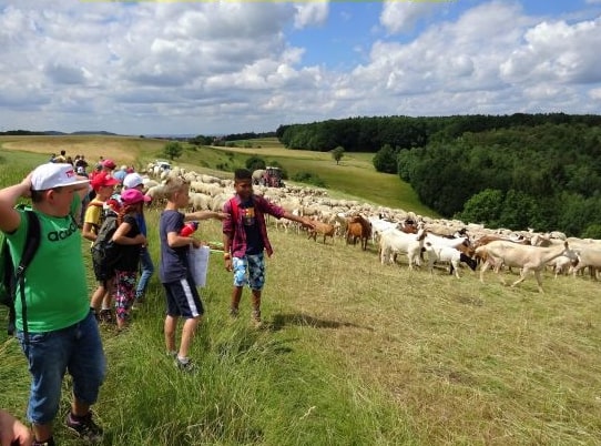 Naturschutz, Naturzugänge