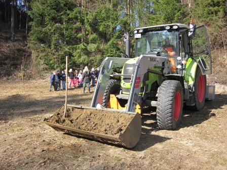 Wald, Naturlehrpfade, Insekten